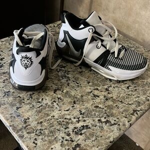 Nike LeBron shoes